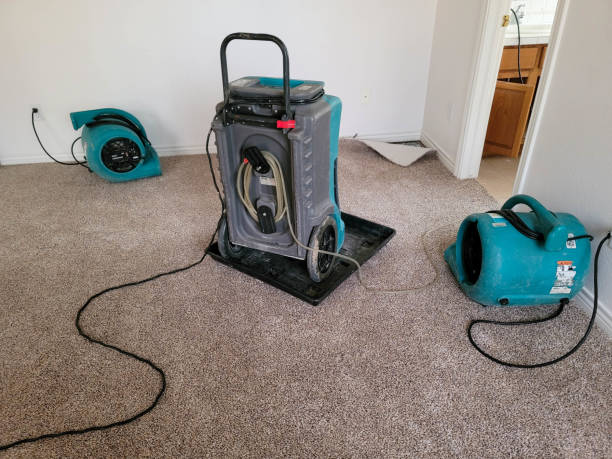 Rio Vista, CA Water damage restoration Company