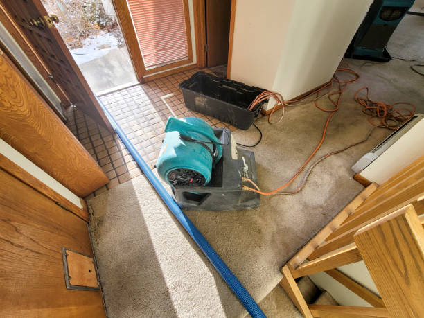 Best Sewage cleanup and water damage restoration  in Rio Vista, CA