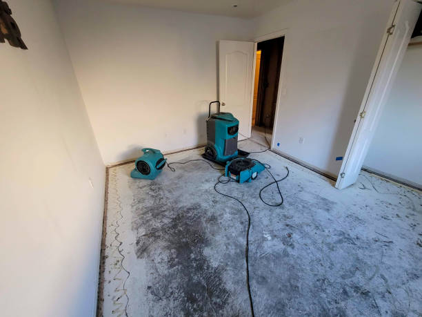 Best Carpet water damage restoration  in Rio Vista, CA
