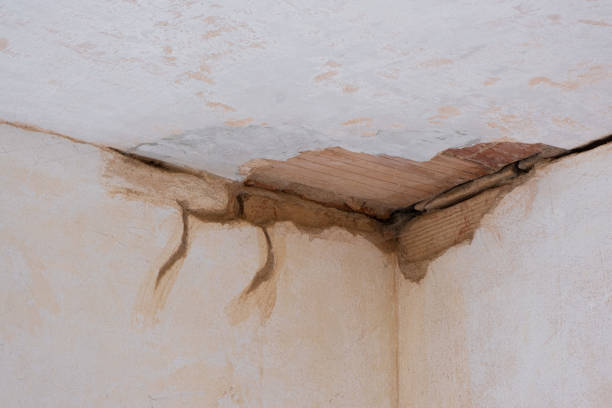Best Sewage cleanup and water damage restoration  in Rio Vista, CA