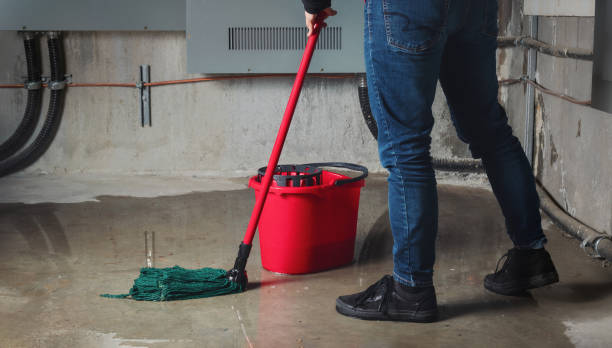 Best Water damage cleanup near me  in Rio Vista, CA