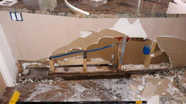 Best Professional water damage repair  in Rio Vista, CA