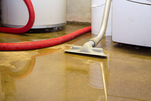 Best Water damage restoration near me  in Rio Vista, CA