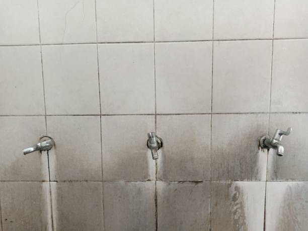 Best Mold removal after water damage  in Rio Vista, CA