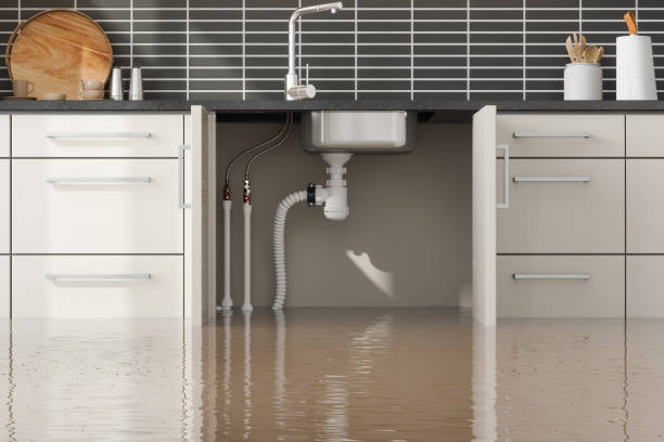Best Water damage restoration near me  in Rio Vista, CA