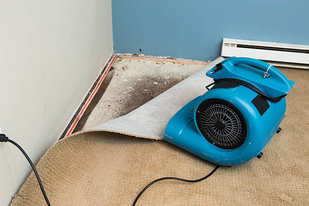 Best Water damage cleanup near me  in Rio Vista, CA